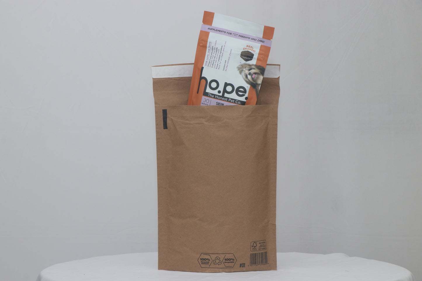 Expandable Protective Mailer